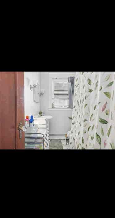 3BD BR
