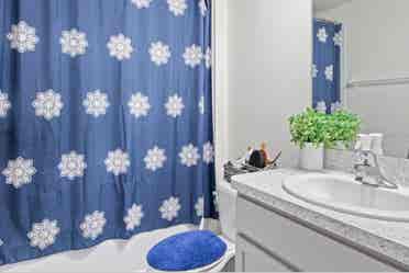 4 BR in Wimauma