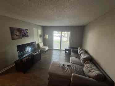 Roommate Wanted