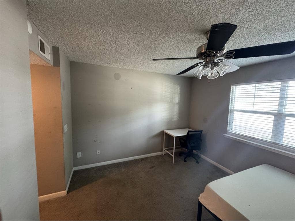 Roommate Wanted