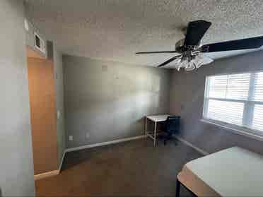 Roommate Wanted