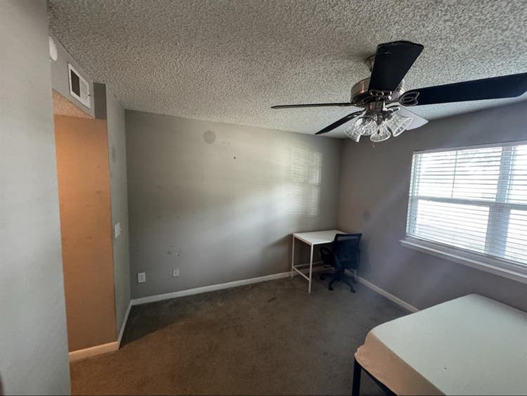 Roommate Wanted