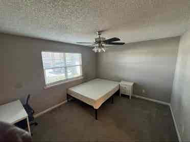 Roommate Wanted