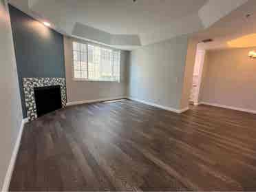 Newly renovated apt with special