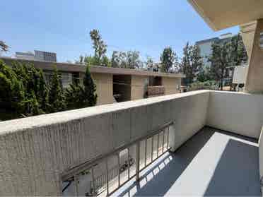 Newly renovated apt with special