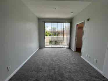 Newly renovated apt with special