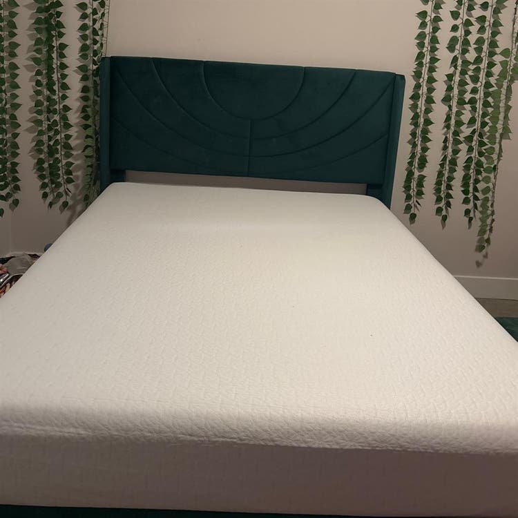 Luxury Resort Apt move in