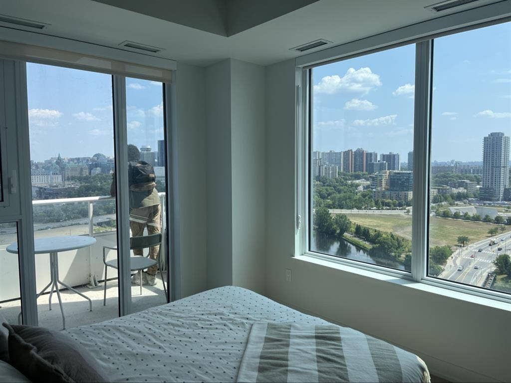 Looking for a Roommate