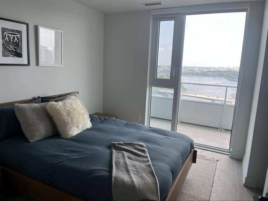 Looking for a Roommate