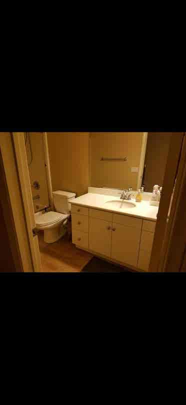 Irvine Room for Rent