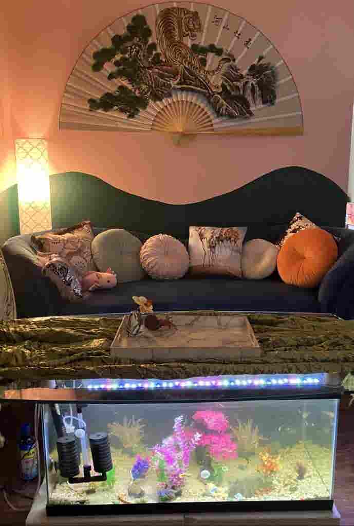 3 bedrooms in cute house