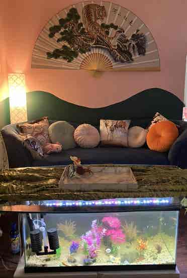 3 bedrooms in cute house
