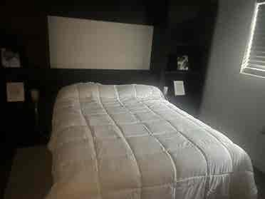 Beautiful Room for rent