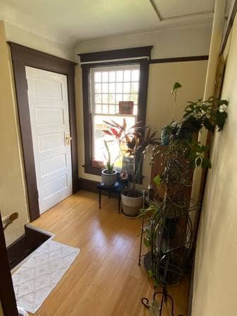 Seeking Female Roommate