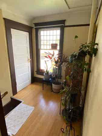 Seeking Female Roommate 