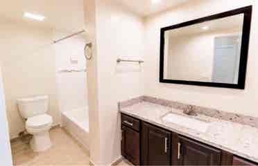 Roommate Wanted
