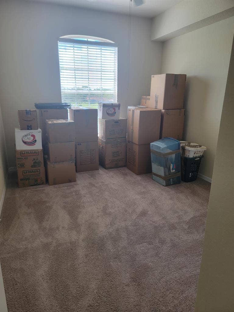 Looking for roommate in New Tampa