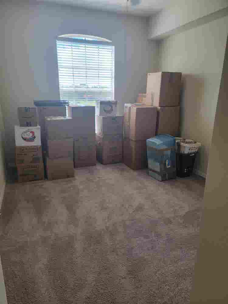 Looking for roommate in New Tampa