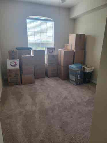 Looking for roommate in New Tampa
