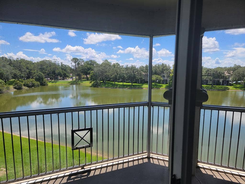 Looking for roommate in New Tampa