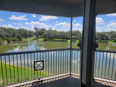 Looking for roommate in New Tampa