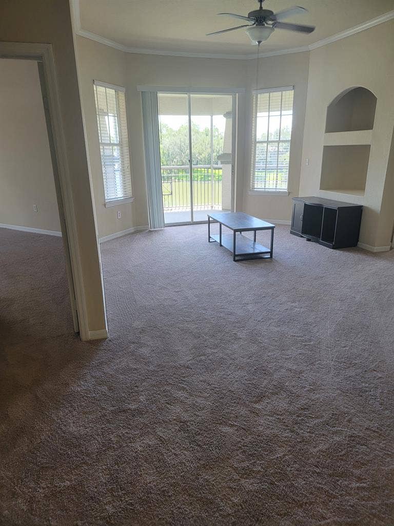 Looking for roommate in New Tampa