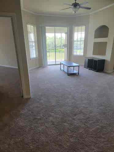 Looking for roommate in New Tampa