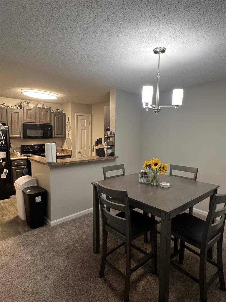 $/month roommate in W. Nash!