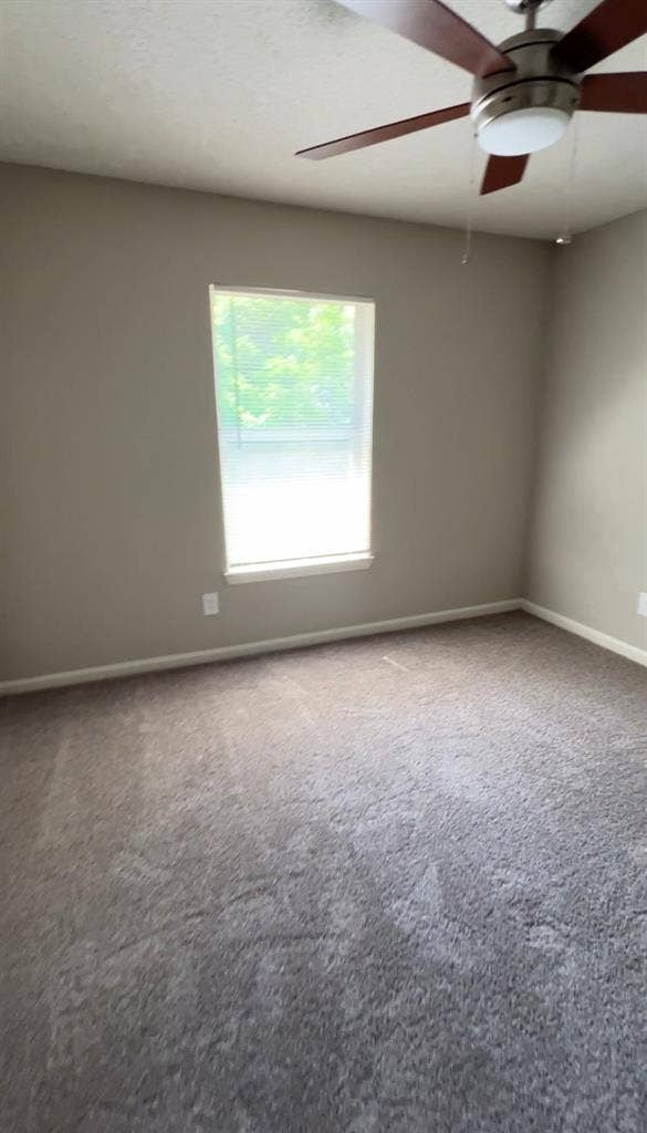 $/month roommate in W. Nash!