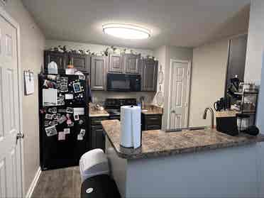 $/month roommate in W. Nash!
