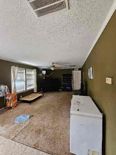 Looking for a roomate!