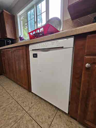 Looking for a roomate!
