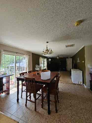 Looking for a roomate!