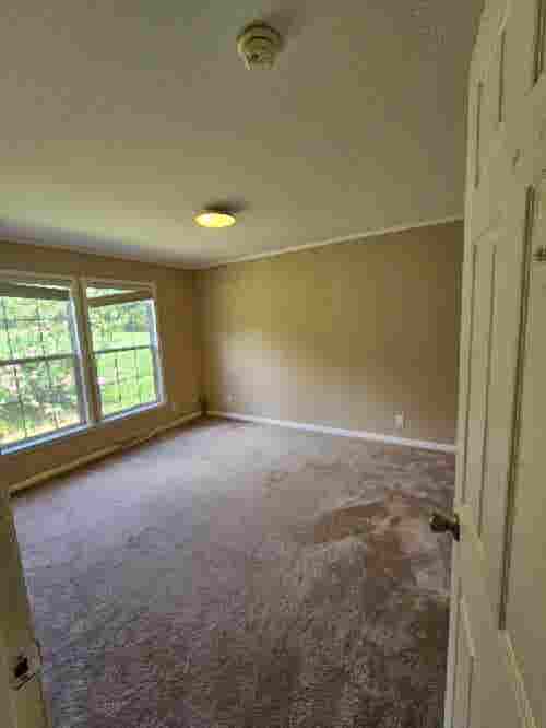 Looking for a roomate!