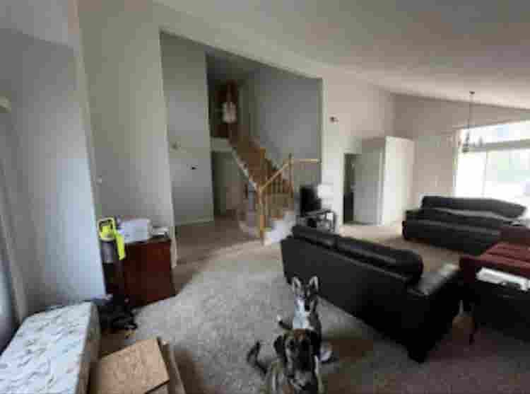 Temeku hills Room for rent Utl incl