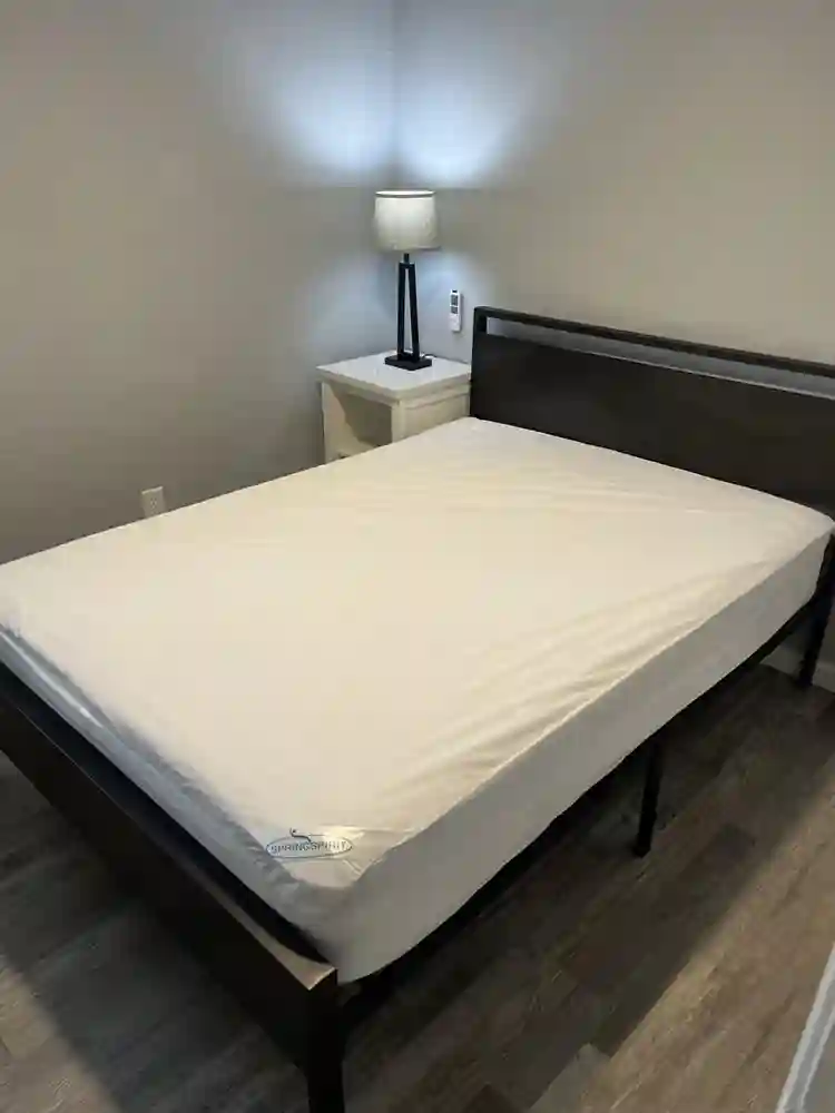 New South Dallas Home