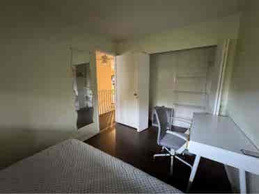 Looking for a roommate!!
