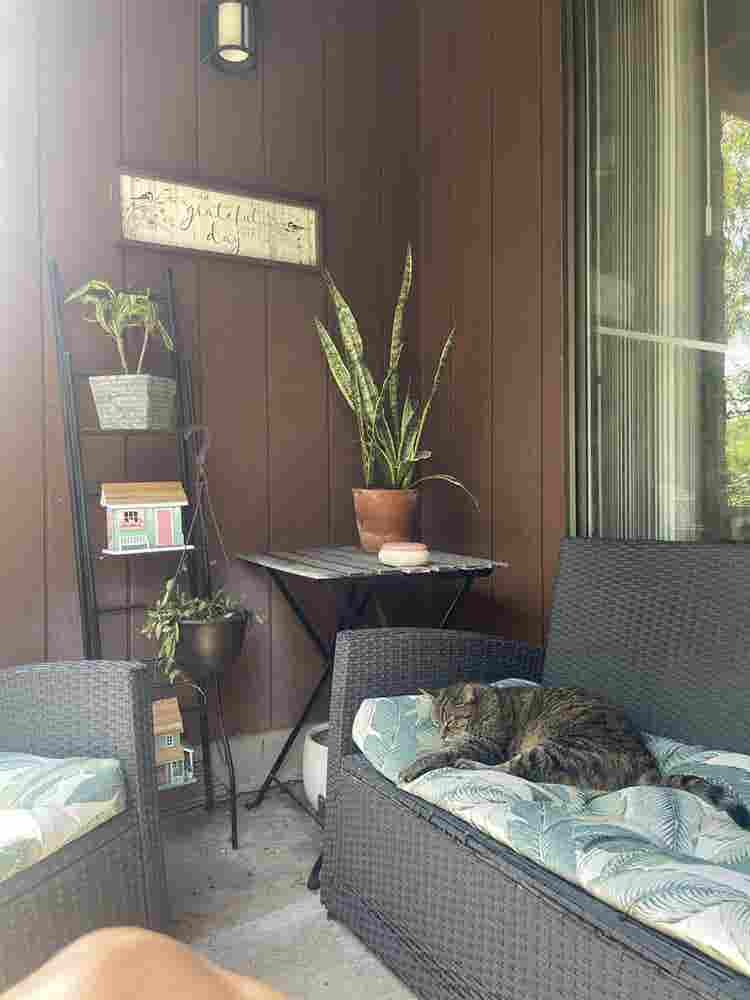 y/o F Seeking Roommate