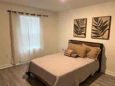 Suite in new place