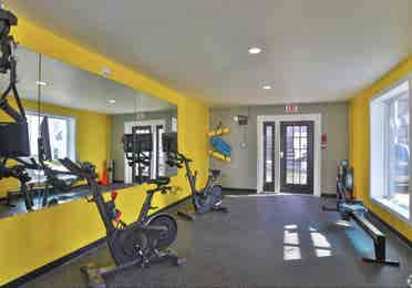 Looking for a roommate in a b