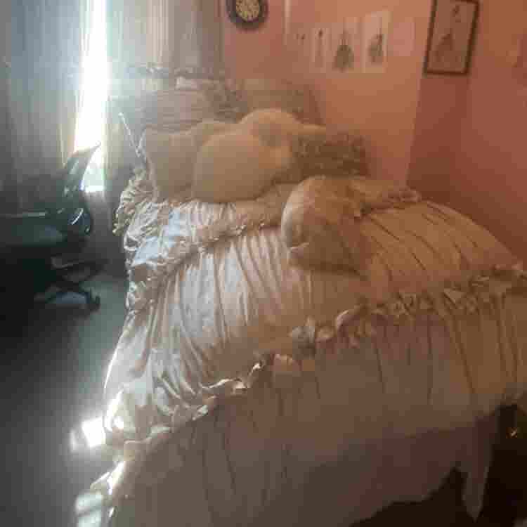 Cozy, Fully Furnished Room for Rent