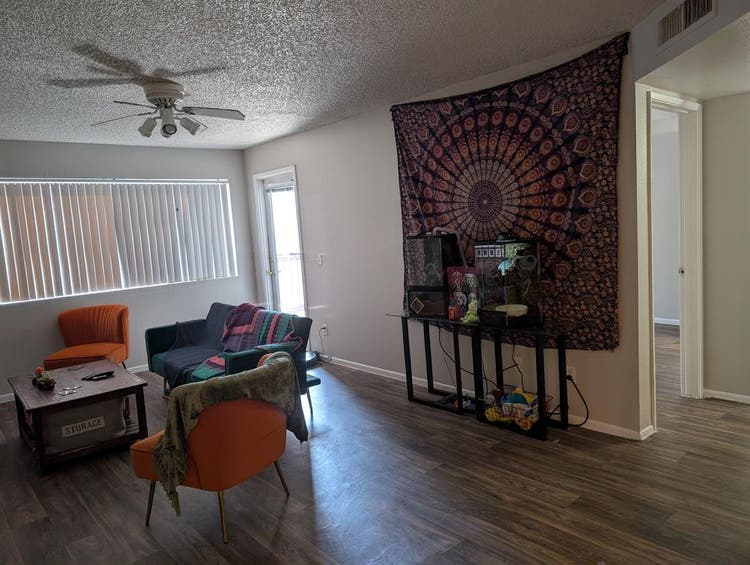 f looking for female roommate