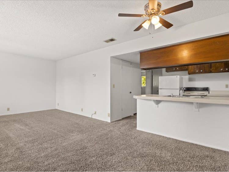 Roommate needed