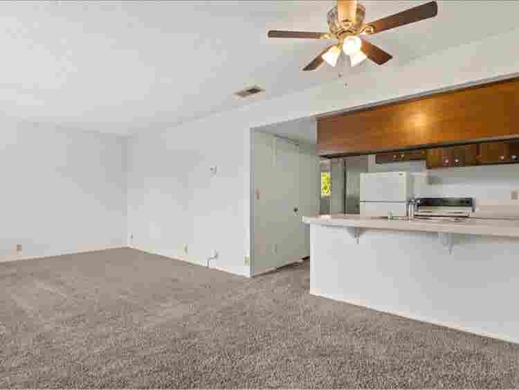 Roommate needed