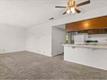 Roommate needed