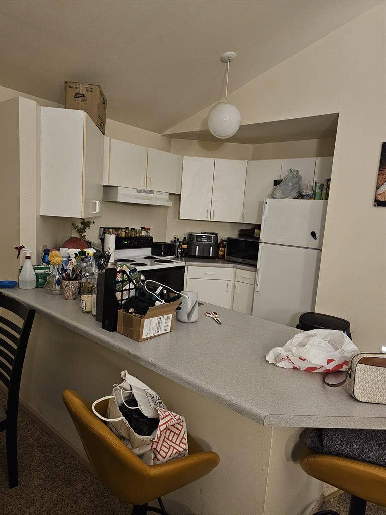 I am seeking a roommate.