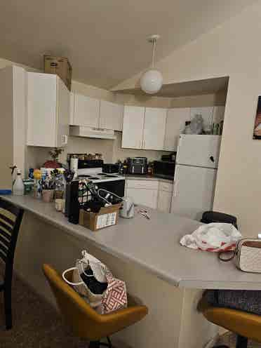 I am seeking a roommate.
