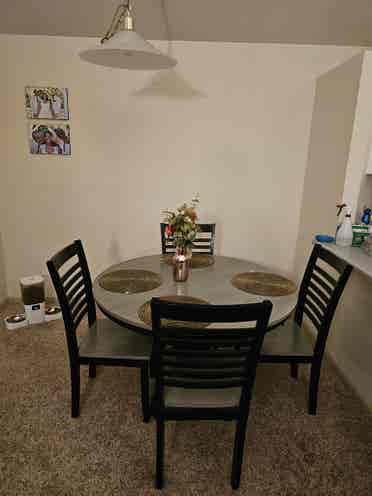 I am seeking a roommate.