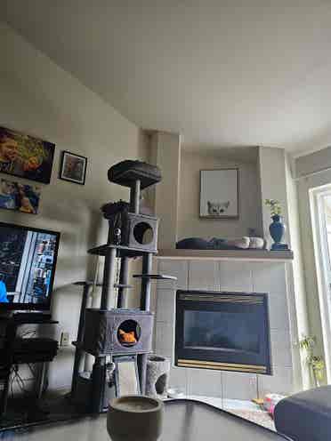 I am seeking a roommate