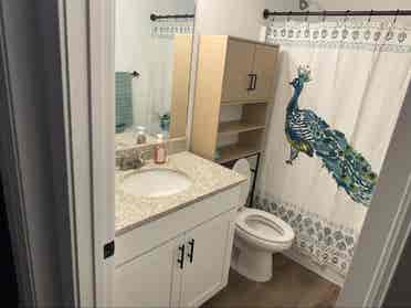 Couple Looking for Roommate